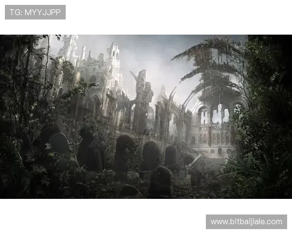 全面解析DG视讯的安全保障措施确保玩家安心游戏体验