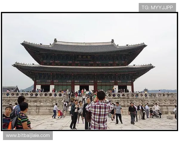 如何根据bg大游真人登录线路图选择最佳登录线路确保游戏顺畅体验