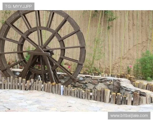 提升K8真人在线游戏体验的实用技巧与常见问题解决方案汇总