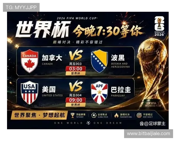 加拿大VS波黑世界杯比赛回放，赛事亮点与关键时刻全程回顾高清版